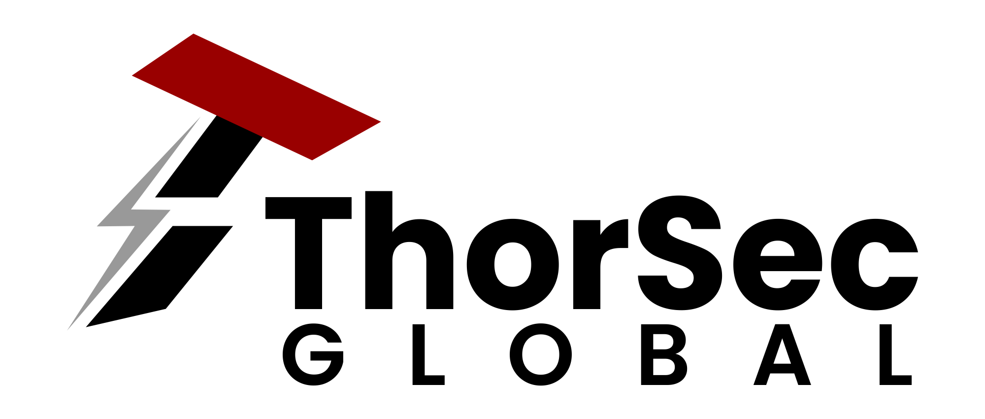 Thorsec Global Logo