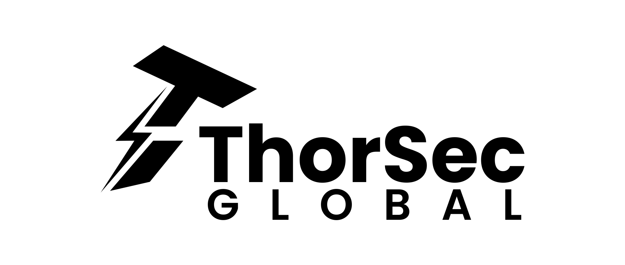 Thorsec Global logo